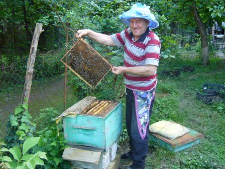 Il initie les enfants à l'apiculture Photo : L'apiculteur