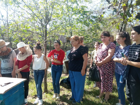 Photo : Initiation à l'apiculture