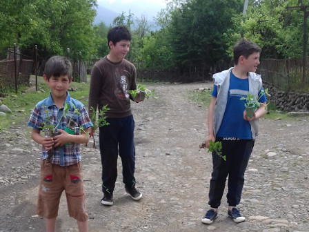 Photo : Élèves de l'école d'Amaghleba rapportant des plantes traditionnelles